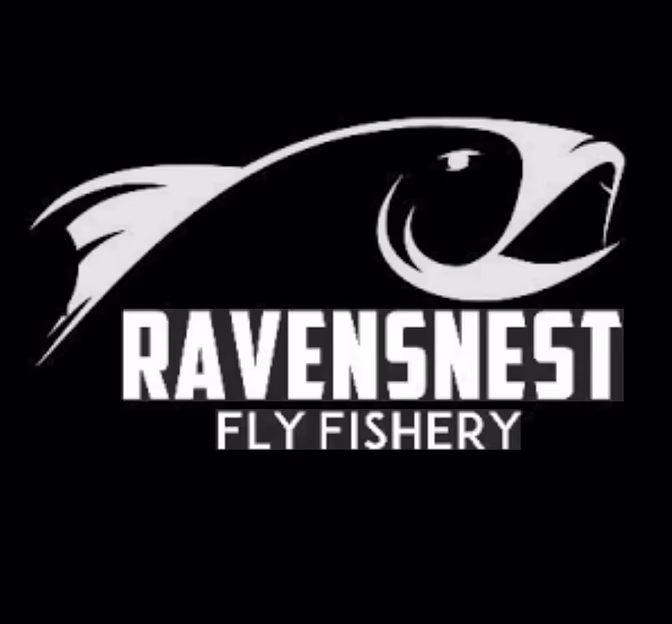 Ravensnest Fly Fishery Logo - a graphic of a trout surfacing with the business name below